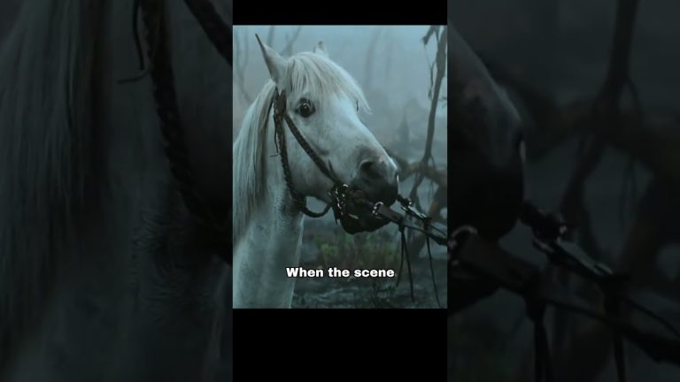 How Artax was shot in Neverending Story
