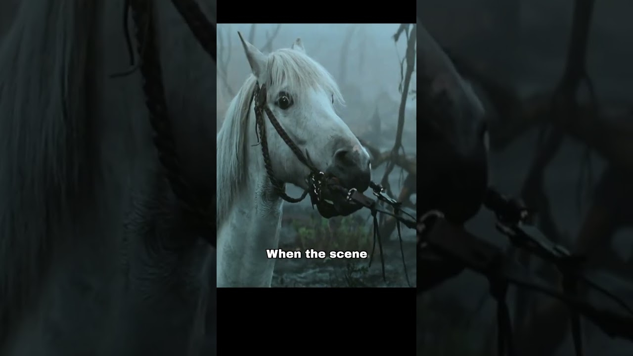How Artax was shot in Neverending Story