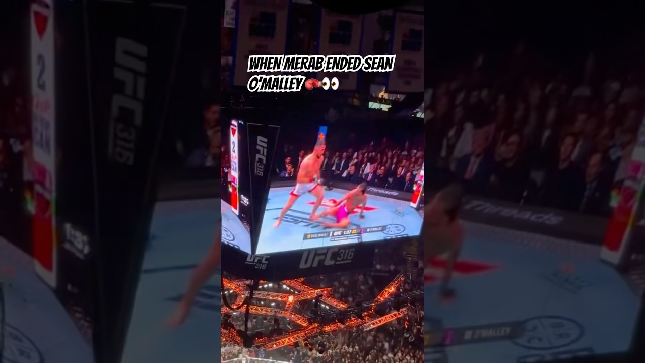 When #MerabDvalishvili Ended #SeanOMalley And Earned His Victory  #whytv #ufc