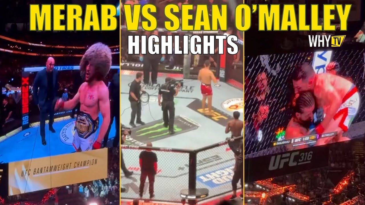 Merab Dvalishvili vs Sean OMalley  Fight (HIGHLIGHTS)