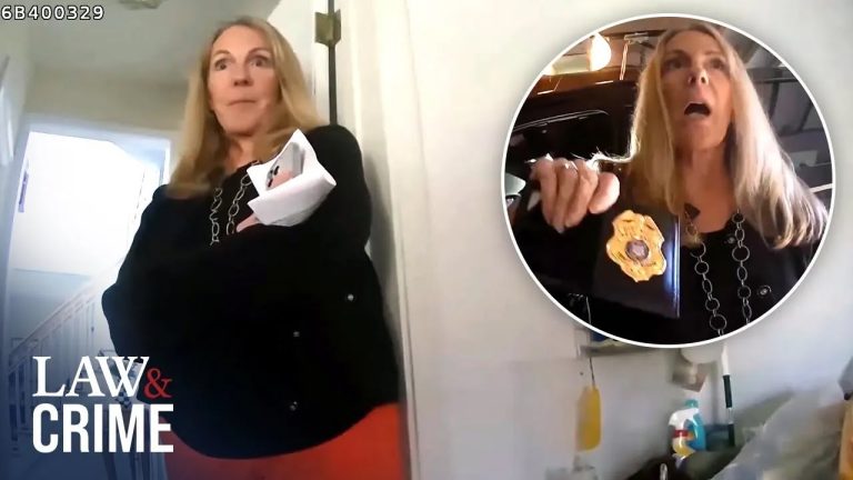 Karen District Attorney Slammed for Traffic Stop Tantrum