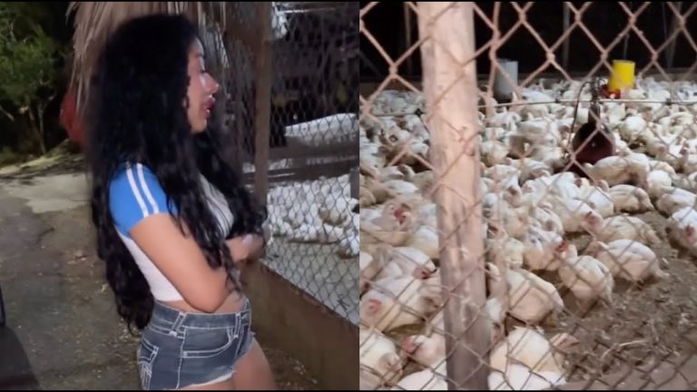 Im Vegetarian Now Cardi B Sister Hennessy Breaks Down Crying After Seeing Caged Chickens