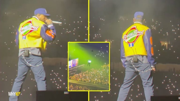 Chris Brown Stole The Whole Show At His Sold Out Stadium In Detroit 'Breezy In The Building'