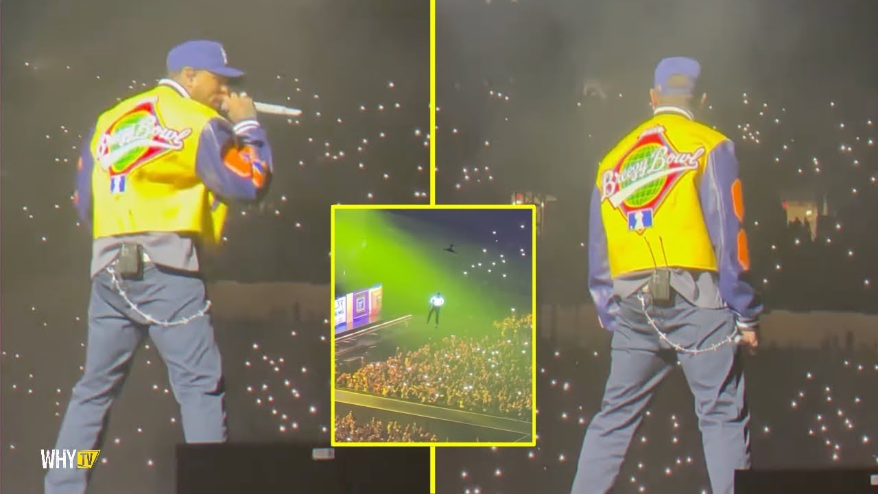 Chris Brown Stole The Whole Show At His Sold Out Stadium In Detroit 'Breezy In The Building'