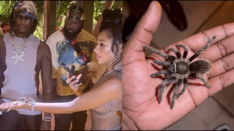 Young Thug Gives Out Tarantulas & Snakes At His 34th B-Day Celebration In Hollywood