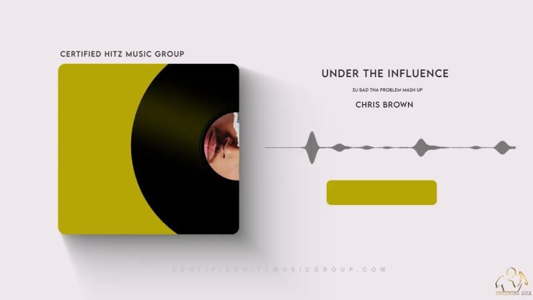 Chris Brown "Under The Influence" (DJ BAD THA PROBLEM Mash Up)