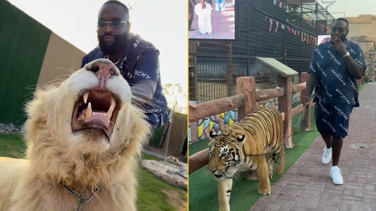 Rick Ross Shows His New Pets And Says He Is Modern Mike Tyson Rozey Loves The Lions