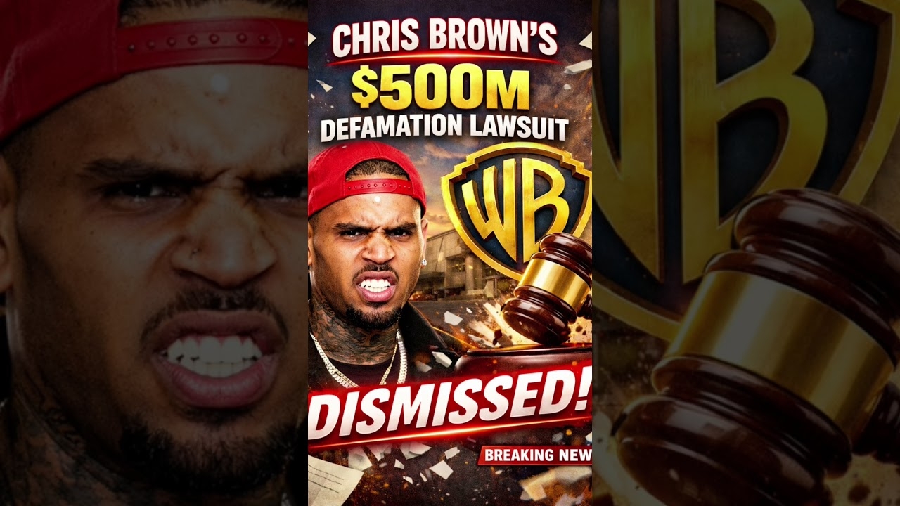 Chris Brown $500 million lawsuit against Warner Brothers dismissed #chrisbrown #warnerbros