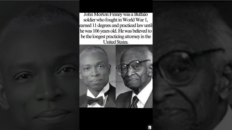 Black Excellence. Black Culture. #blackhistory #history #shorts #facts