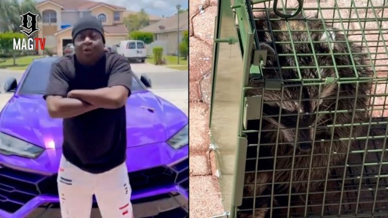 "Thug Holiday" Trick Daddy Wins Beef Against Raccoon Hiding Under His Lamborghini Urus! 