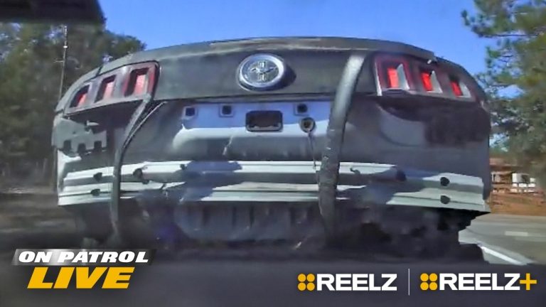 16 Wild Police Pursuits That Went In Reverse