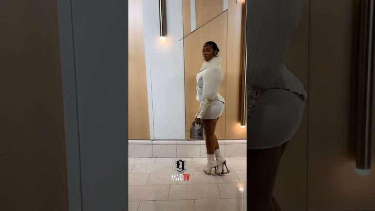 Fit Check With Kashdoll 