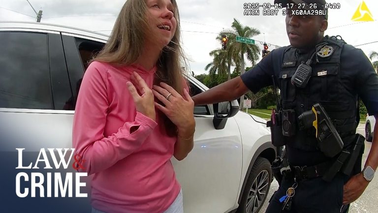 Drunk Mom Crashes Into School Bus, Tries to Bite Cop: Police