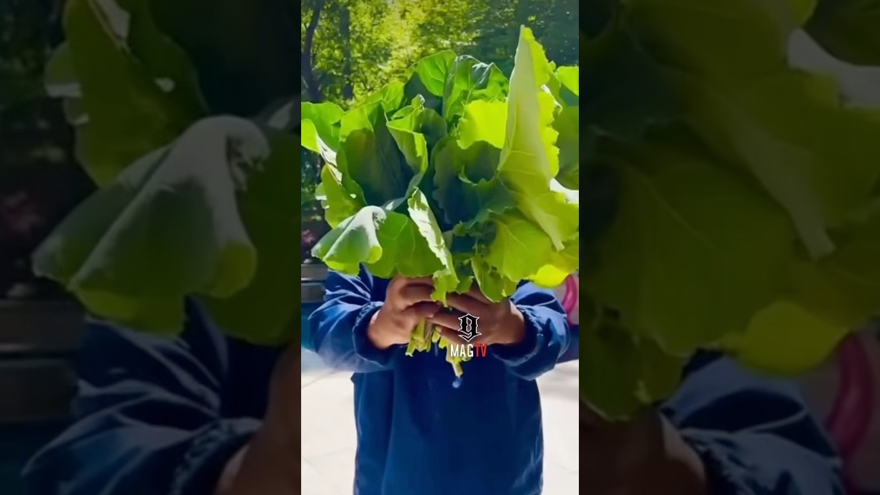 Big Boi Growing His Backyard Garden