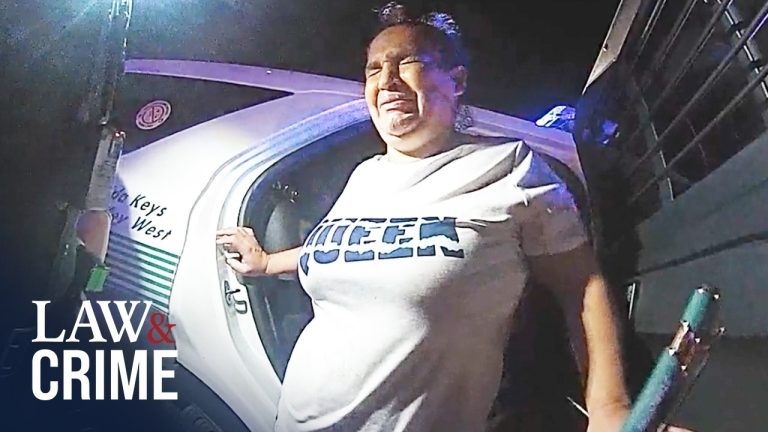 Babies Remote Car Ride Leads to 'Drunk' Parents Shocking Arrest