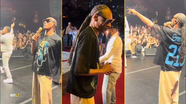 Snoop Dogg And Ludacris Reunited On The Stage At Met Gala 2026 After Party And Performing Together