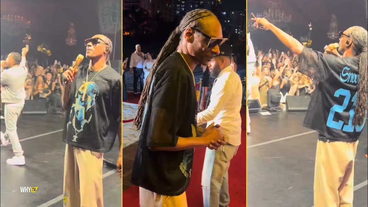 Snoop Dogg And Ludacris Reunited On The Stage At Met Gala 2026 After Party And Performing Together