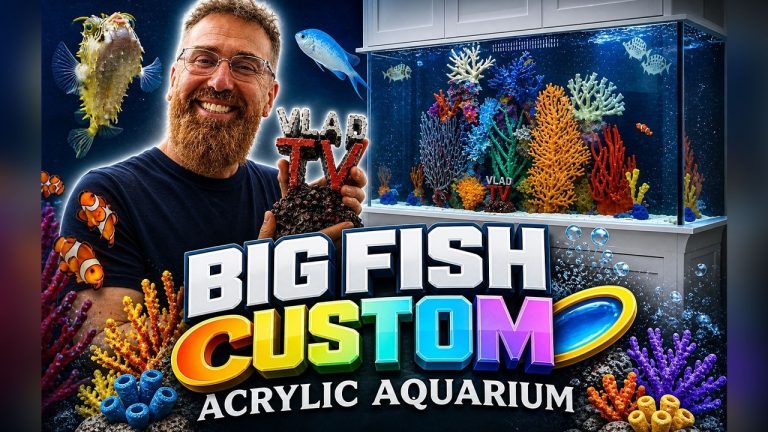 DJ Vlad Gets 300 Gallon Aquarium from Big Fish Custom Acrylic Aquariums
