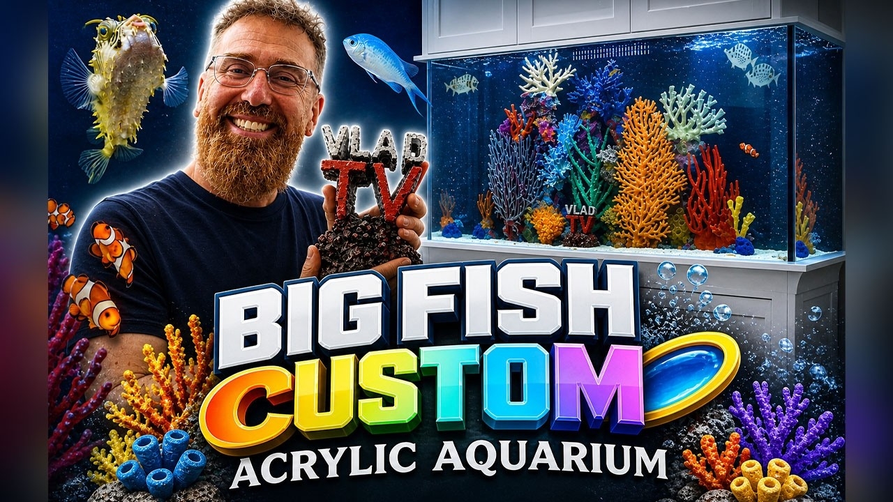 DJ Vlad Gets 300 Gallon Aquarium from Big Fish Custom Acrylic Aquariums