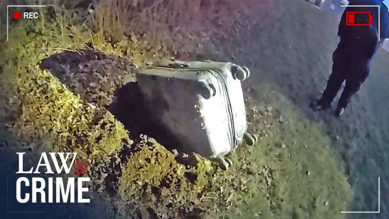 Dog Leads Owner to Dead Bodies in Suitcases Near School