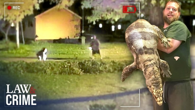 Wisconsin Man Kills His Girlfriends Son Over Exotic Reptiles