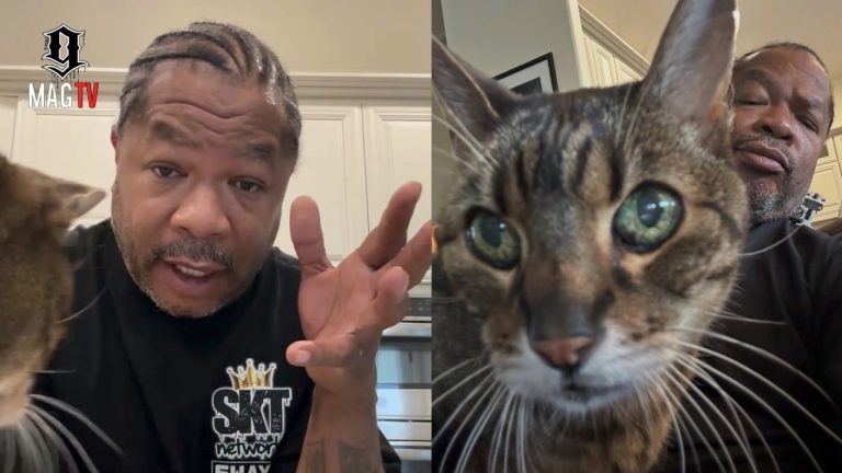"I Had No Idea" Xzibit Can't Believe His Cat Is Going Viral! 